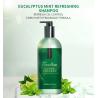 Buy cheap Anti Hair Loss Dandruff Hair Shampoo Organic Natural Hair Care from wholesalers