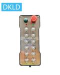 Twelve-way single speed switch industrial remote control