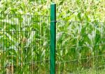 Iso 9001 2015 Durable 2 Inch Weld Mesh Pvc Coated Outdoor Protection
