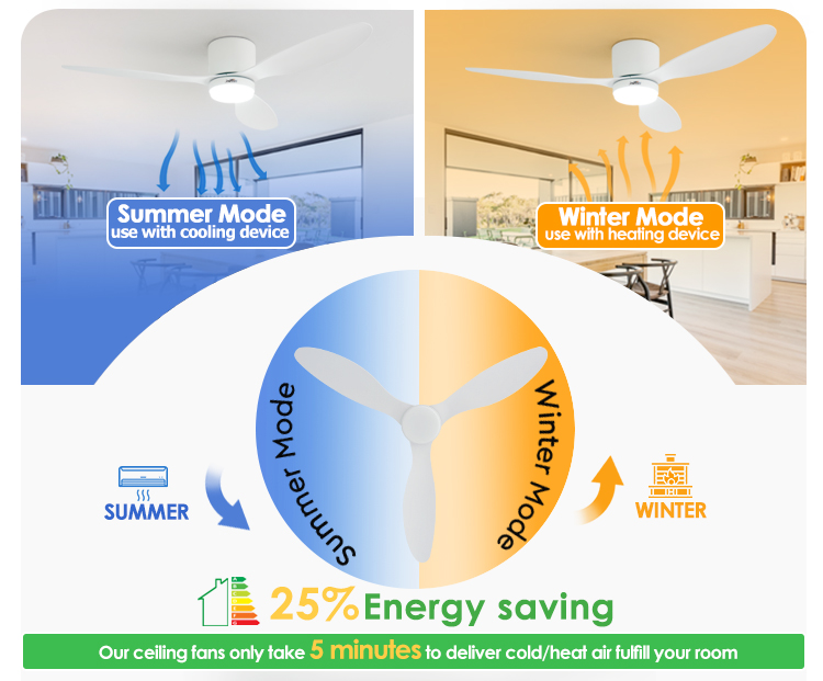 ceiling fan