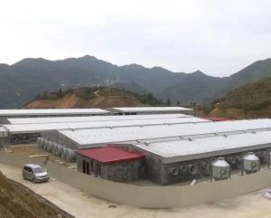 Quality Galvanized Prefabricated Steel Structure with Q355 Q235B Steel Grade wholesale