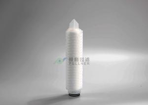 Quality 0.05 Micron 226 Fin Connector PFL PTFE Filter Cartridge Hydrophilic wholesale