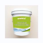 Acrylic Waterproof Mildewproof Sealant Transparent Coating for Kitchen Toilet