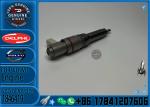 Fuel Injector Assembly BEBJ1A05002 BEBJ1A00202 BEBJ1A05001 1905001 1846419