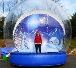 Quality Taking Photos Snow Globe with Nice Backdrop wholesale
