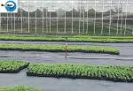 PP Woven Ground Cover Garden PP Woven Weed Barrier Control Mat Landscape Fabric