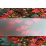 Scratch Resistant Solid 10mm Frosted Polycarbonate Panels 1200mm*2440mm