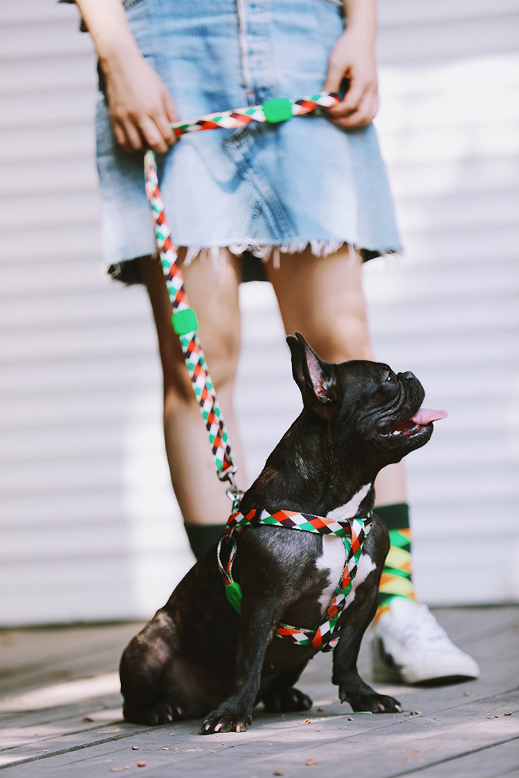 0.98 Inch Adjustable Neck Dog Harness