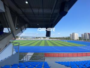 Quality Eight-twelve Years Service Life IAAF Running Track With Drainage And UV Resistance wholesale