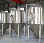 PLC Control Professional Brewing Equipment 1000L Home Beer Brewing System