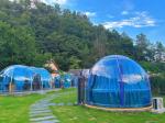 Polycarbonate Dome Tent Modular Prefab PC Crystal Bubble Dome House