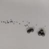 Buy cheap High Precision 0.001MM Tungsten Carbide Pellets 15.1g/Cm3 Tungsten Carbide Ball from wholesalers