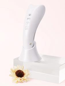 Quality Portable Massage Facial Beauty Device Face Lift Massager With Ems Function wholesale