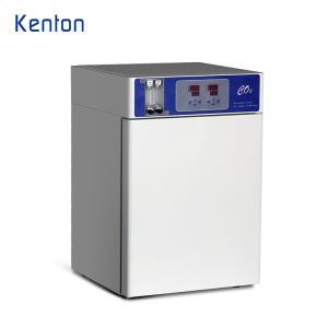 Quality PID CO2 Incubator For Cell Culture Microorganism Cell Incubators wholesale