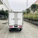 DAYANG Closed Body Express Cargo Tricycle AIR-cooling Engine 4.5 inch for B2B