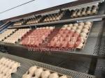 Manufacturer Waste Paper Pulp Molding Nursery Pot Bottle Tray Egg Tray Machine