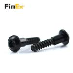 Customized Stainless Steel Truss Head Black Dacromet Pan Torx Step Shoulder