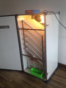 Quality 500 Chicken Egg Incubator wholesale