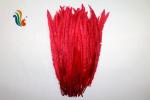 Party Decoration Nandu Plumes Feather Dyed Pattern for Worldwide Shipping