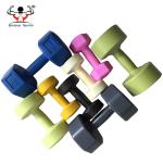 Round Shaped Plastic Coated Dumbbells Beautiful Appearance Customized Logo