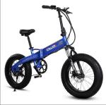7 Speed 10AH 20 Inch Electric Fat Bike 36v 350w