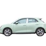Hot selling Great Wall Oula 401KW adult electric vehicle