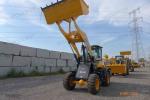 Mine Mini Compact Wheel Loader 16/70-20 Tire