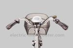 25km/H Pedal Assist Electric Trike 48V 350W Brushless Motor