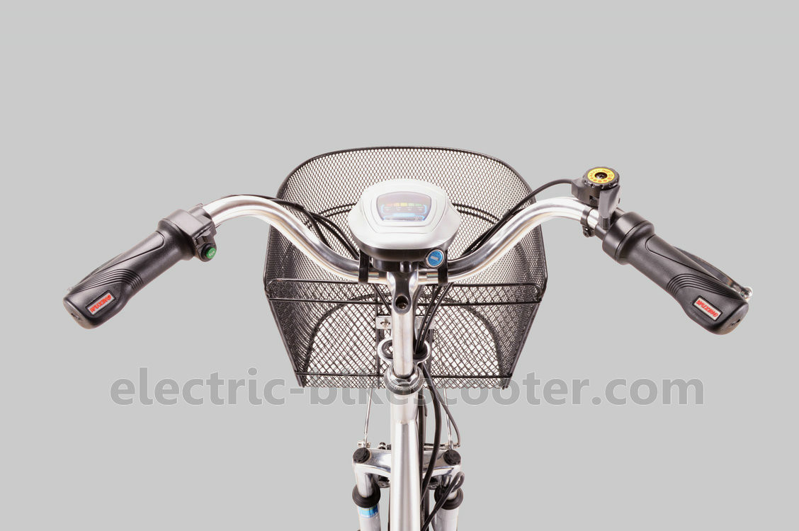 25km/H Pedal Assist Electric Trike 48V 350W Brushless Motor