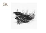 Natural Mink Hair Fan Shaped 14MM 3D Volume Lashes