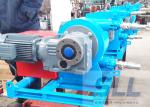 Double Heads Hose Squeeze Pump For Chemical / Mining / Food Industry