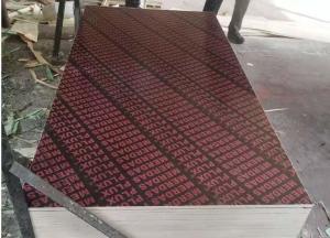 Quality cheap Film faced plywood formwork plywood for concrete wholesale