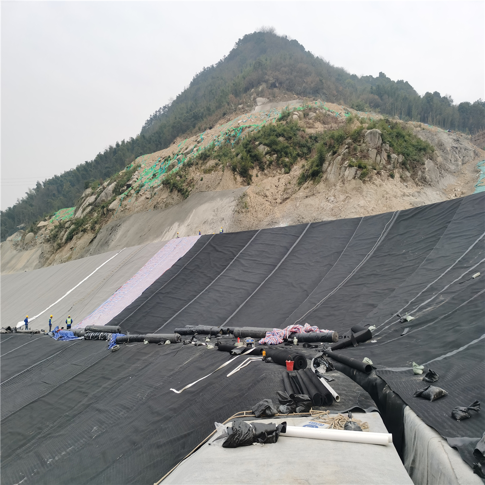 Geomembranes in Industrial Design Style for Easy Installation Pond and Dam Liners