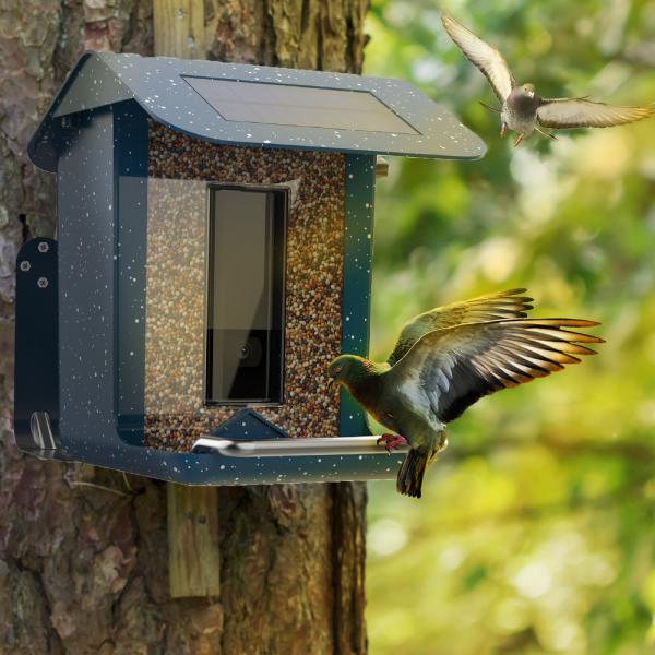 Cheap 2.5L Wireless Wildlife Bird Feeder Camera Battery Power Source OEM DDM for sale