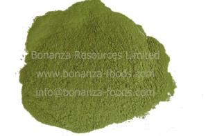 Quality Air Dried Celery Flour Dehydrated Celery Stalk Powder wholesale