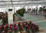 8m*4m Dimenison Garden Glass Greenhouse Easily Assembled Highly Durable