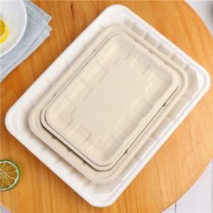 Quality Eco Friendly Biodegradable Sugarcane Bagasse Tableware Disposable Compostable Food Tray wholesale