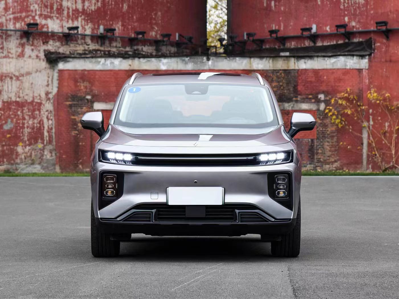 All 2024 LIVAN 9 Pure Electric Vehicles 5 Door 6 Seat Medium SUV CLTC 380/470km 204Ps 310Nm 150kW 0.5h Fast Charge Cars Wholesaler