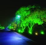 Street & Urban: (LED Street Light, LED Garden Light, LED Flood Light) The