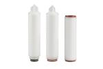 0.1um 10" Pharmaceutical PES Filter Cartridge Asymmetric Pore Structure