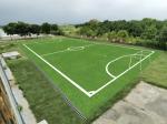 Dtex Stem Shape Artificial Football Turf For Disease Resistance