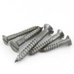 304 Stainless Steel Slotted Countersunk Head Wood Screws For Furniture Assembly