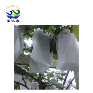 Quality Agricultural 40G Banana Fruit Protection Bags 18x25cm wholesale