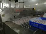 Industrial Mesh Belt Tunnel Freezer 1000kgs/Hour 800kgs/Hour Everlasting Blast