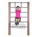 outdoor wooden fitness equipment--WPC Park Fitness gymnastics Equipment outdoor