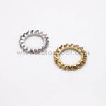 304 316 Ext Tooth Lock Washer Din6798A Serrated Lock Washers