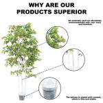 Ornamental Plant Artificial Radermachera sinica Indoor Landscape Natural