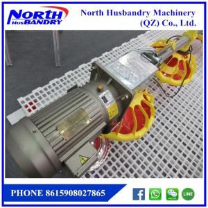 Quality pakan ayam broiler otomatis|Jual peralatan kandang wholesale