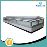 Electric Powered Supermarket Island Freezer R22/R404a Refrigerant