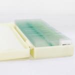 Lab Research 25 Kinds 22x22mm Label Microbiology Bacteria Slides
